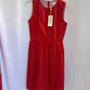 NWT Red lace dress with zipper back Erin Featherstone Brand Newwith‎ Tags S